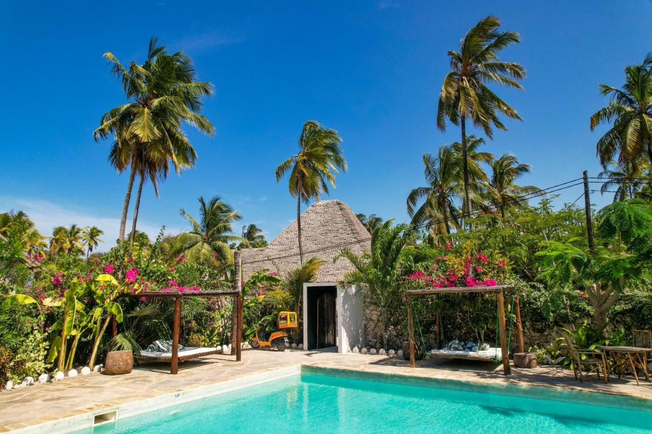 Tropical Oasis Boutique Hotel Michamvi Dış mekan fotoğraf