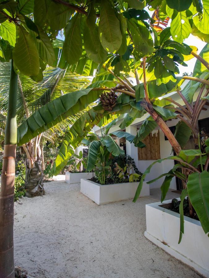 Tropical Oasis Boutique Hotel Michamvi Dış mekan fotoğraf